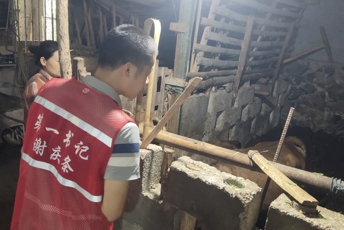 接力奋进新征程 医者初心践于行——博彩app下载
口腔颌面外科党支部谢庆条赴马山县龙琴村担任驻村第一书记 第 1 张